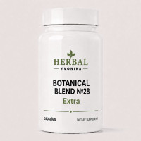 Botanical Blend №28 Extra Комфорт венозної системи при геморої