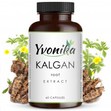 Корень калгана