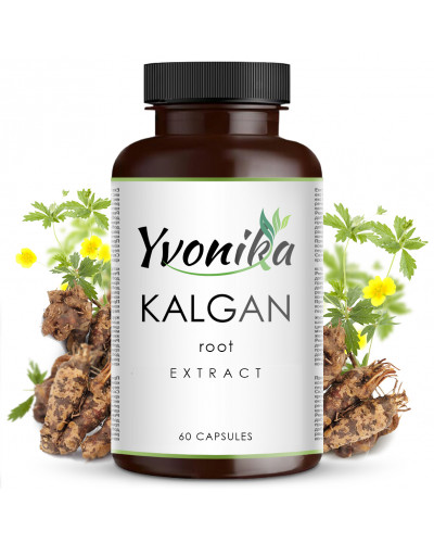 Корень калгана